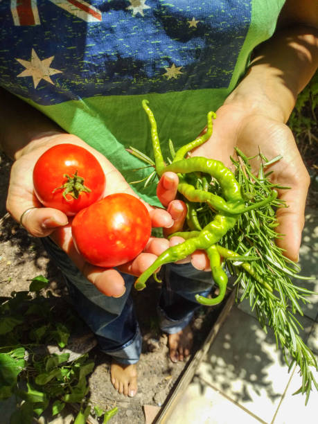 A menina que oferece os vegetais orgânicos crescidos por ela - foto de acervo