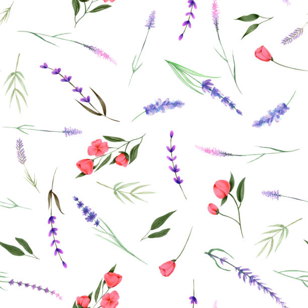 Seamless pattern, ornament of watercolor floral elements (herbs, lavender, wildflowers) hand painted on a white background Seamless pattern, ornament of watercolor floral elements (herbs, lavender, wildflowers) hand painted on a white background drawing of a green lisianthus stock illustrations