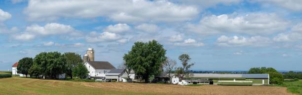 istock Farm and Chicken Houses 1196017409