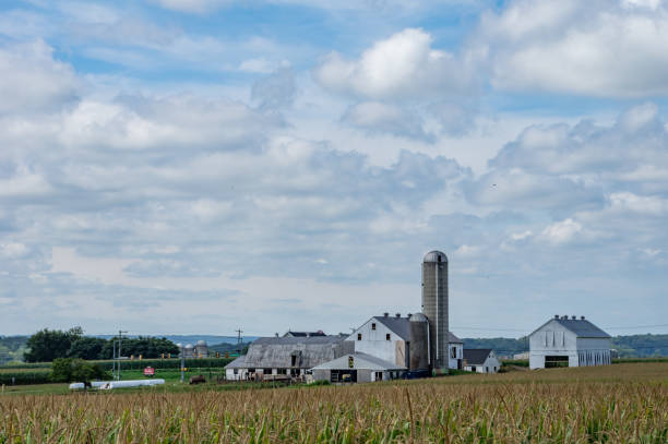istock Farm in the Countryside 1196018050
