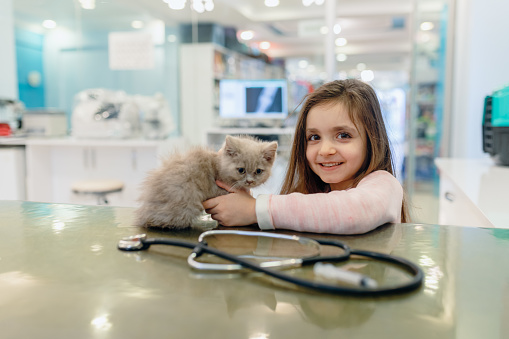 little girl embrace her cat at veterinary clinic