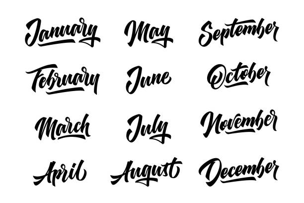 12 month. Handwritten lettering months of the year. Vector illustration. 12 month. Handwritten lettering months of the year. Vector illustration. december calligraphy stock illustrations