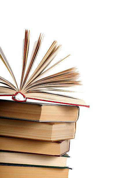 istock Pile of books 119602379