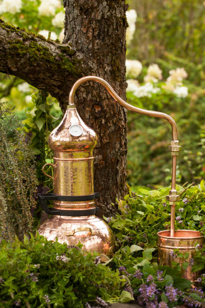 istock Alembic -distilling apparatus 1196024359