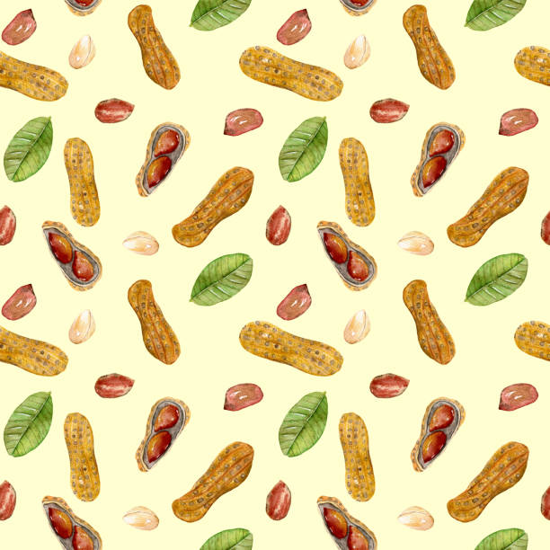 Continuous Peanut Pattern 14,100+ Peanut Pattern Stock Photos, Pictures & Royalty-Free Images ...