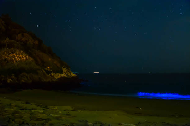 istock Blue tears in Beigan, Matsu,Taiwan 1196028320