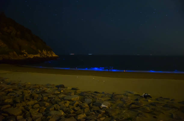 istock Blue tears in Beigan, Matsu,Taiwan 1196028632