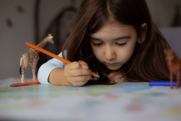 one little girl surrounded by plastic toy animals and wooden geometric figures drawing with pencils - child thinking writing little girls imagens e fotografias de stock