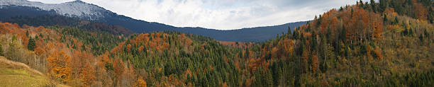 istock Beautiful fall in Carpathian mountains 119602954