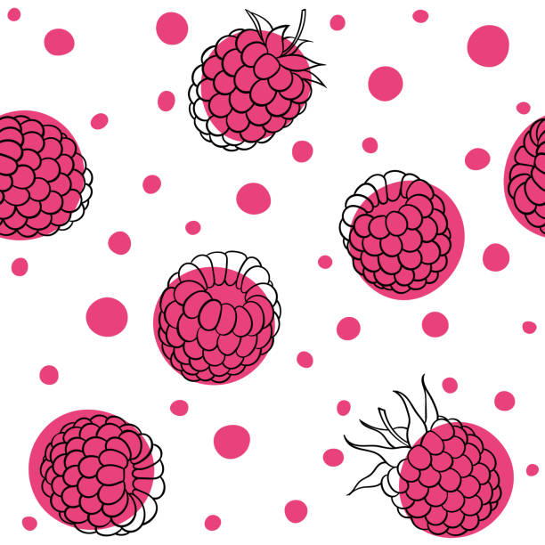 Beautiful seamless pattern cartoon black and white outline raspberry and pink dots. design for holiday greeting card and invitation of seasonal summer holidays, beach parties, tourism and travel Beautiful seamless pattern cartoon black and white outline raspberry and pink dots. design for holiday greeting card and invitation of seasonal summer holidays, beach parties, tourism and travel. raspberry stock illustrations
