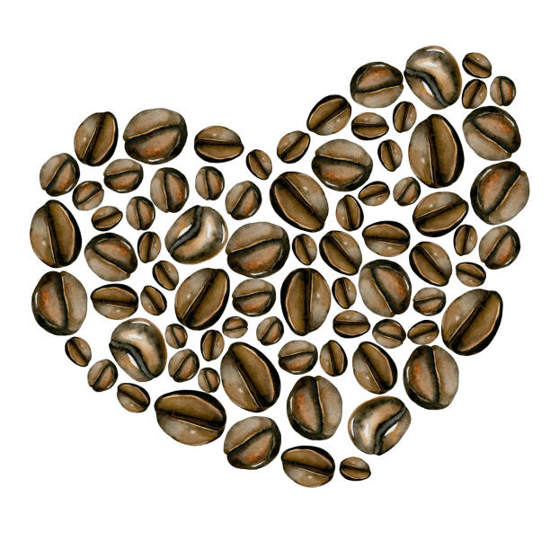 30+ Coffee Plant Hand Illustrations, Royalty-Free Vector Graphics ...