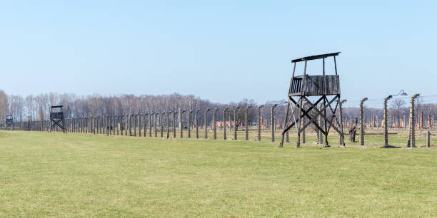 wachturm im konzentrationslager auschwitz birkenau - prison architecture black white stock-fotos und bilder