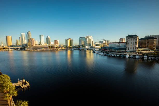 istock Downtown of Tampa 1196040266