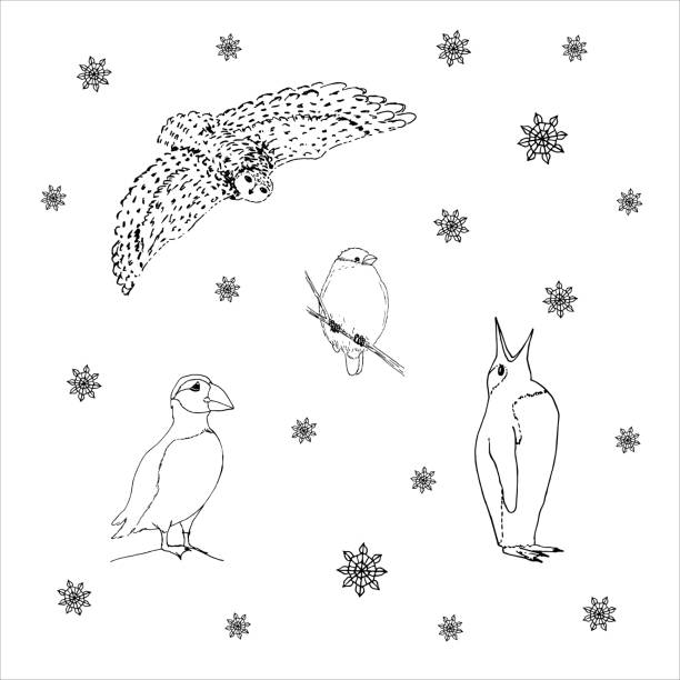 693 Tundra Animals Illustrations & Clip Art - iStock | Caribou, Reindeer