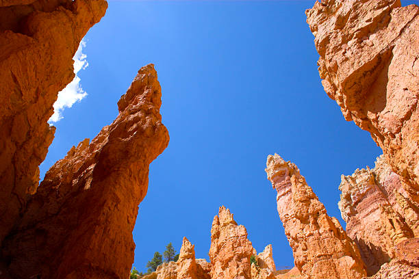 istock Red rock of Bryce 119604338