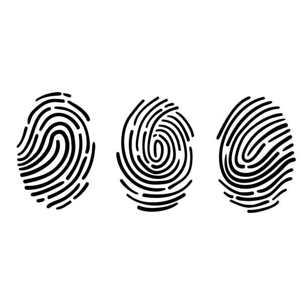 손으로 그린 낙서 스타일 벡터와 지문 그림 아이콘 - fingerprint thumbprint human finger track stock illustrations