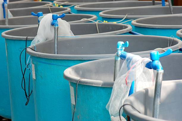 istock Barrels in factory 119604425