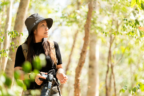 Asian woman exploring forest green natural capturing beauty nature outdoor.  Photographer backpack adventure walking and holding camera for take a photo for explore trip