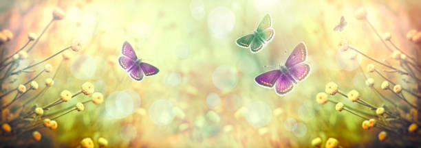 istock Butterfly on flower, selective focus on butterfly - beauty in nature 1196045507