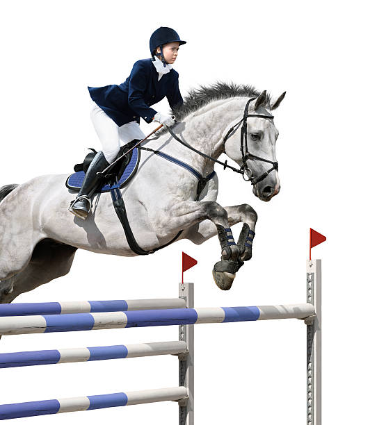 istock Jockey on a horse jumping in an obstacle course 119604967