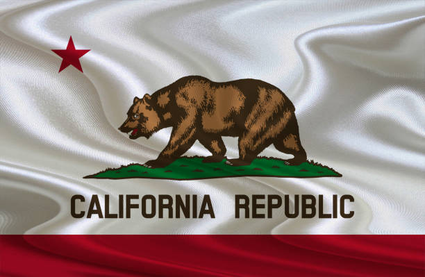 istock CALIFORNIA waving flag. 1196049980