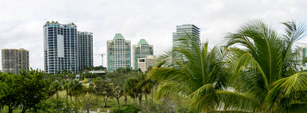 View of Coconut Grove Skyline