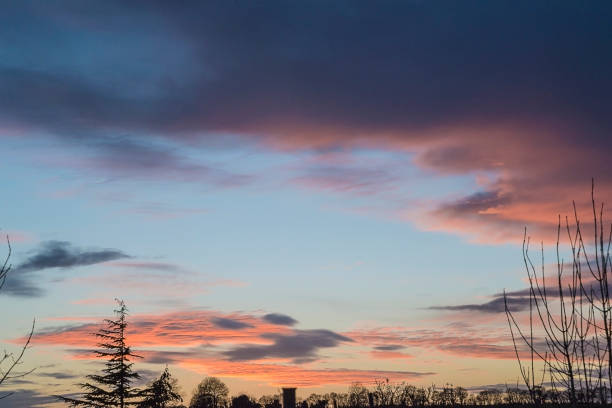 istock Beautiful sky before sunset. Purple, blue, violet colors and tree silhouette 1196050877