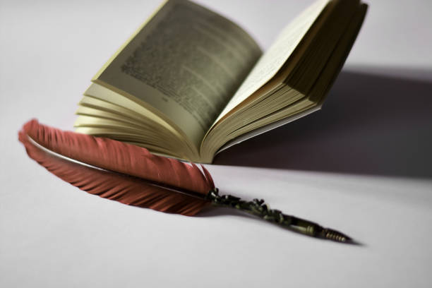 istock an open book and a red pen 1196050969