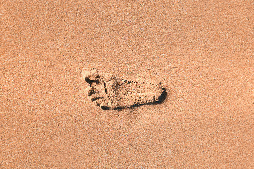 footsteps in the sand of a beach. concept tourism and backgrounds.