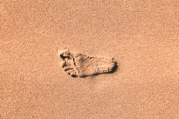 footsteps in the sand of a beach stock photo