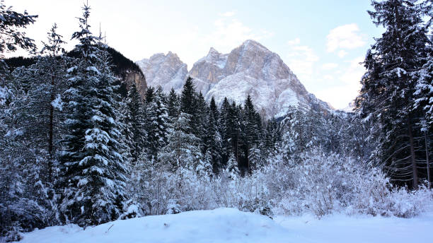 paesaggi invernali nelle dolomiti - tofane foto e immagini stock