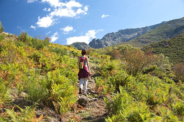 istock woman in fern path 119605640
