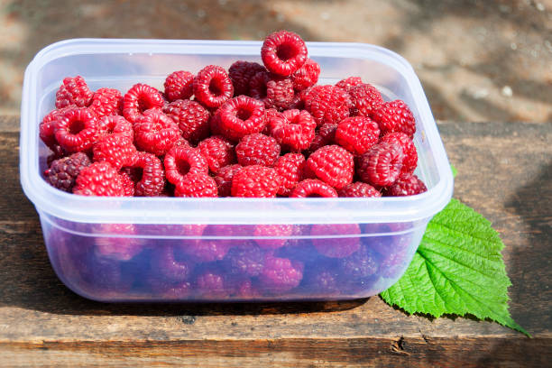 istock fresh ripe raspberry in container on wooden board 1196056838