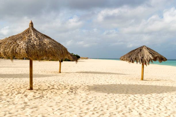 istock Thatched Palapas on White Sand Beach Paradise 1196060413