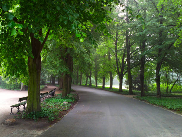 Quiet public park in upscale urban neighborhood