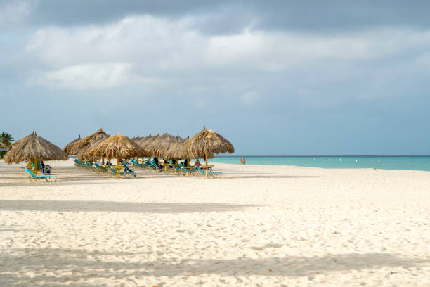 istock Thatched Palapas and Lounge Chairs on White Sand Beach Paradise 1196060459