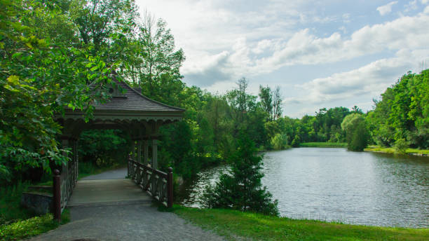 istock Path way near the lake 1196063860