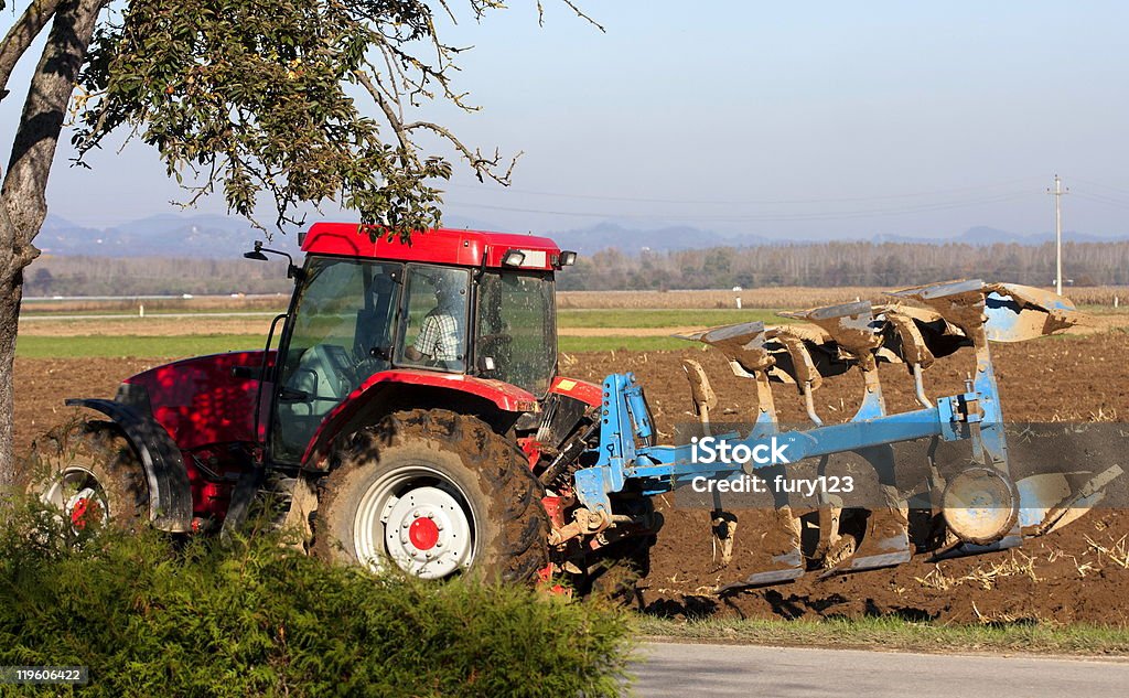 Cammino piuttosto - Foto stock royalty-free di Agricoltura