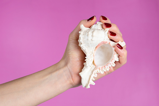 Beautiful young woman hand with brown nails polish holding a sea shell isolated on pink background in studio. Close up, copy space for text or design. Fashion and femininity image