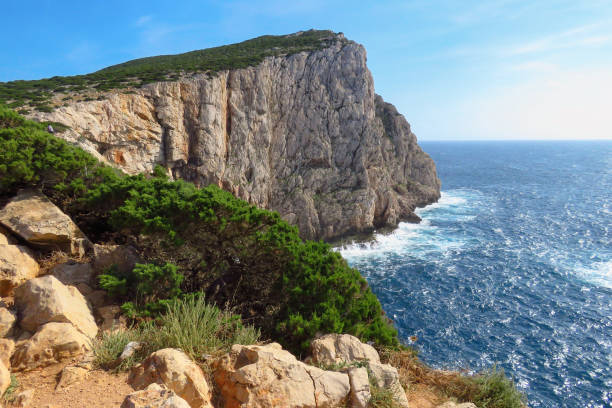 istock Steep rocks and cliffs at the rugged coast of Capo Caccia 1196068956