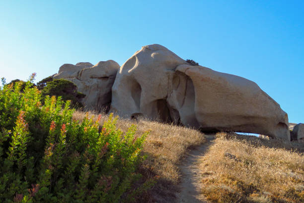 istock Hiking path going up to rock formation 1196069027