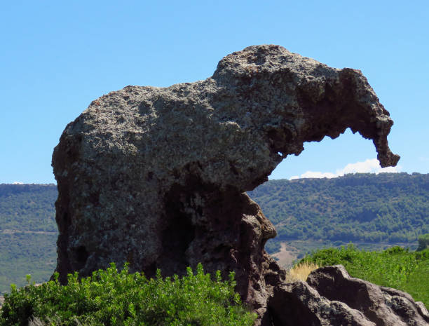 istock Elephant Rock (Roccia dell'Elefante) just outside Castelsardo, Sardinia, Italy 1196069081