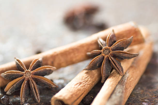 palos de canela, estrellas de anís y granos de pimienta negra sobre fondo texturizado - cardamom spice cinnamon bark anise star fotografías e imágenes de stock