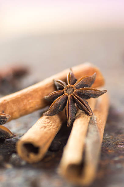 palos de canela, estrellas de anís y granos de pimienta negra sobre fondo texturizado - cardamom spice cinnamon bark anise star fotografías e imágenes de stock