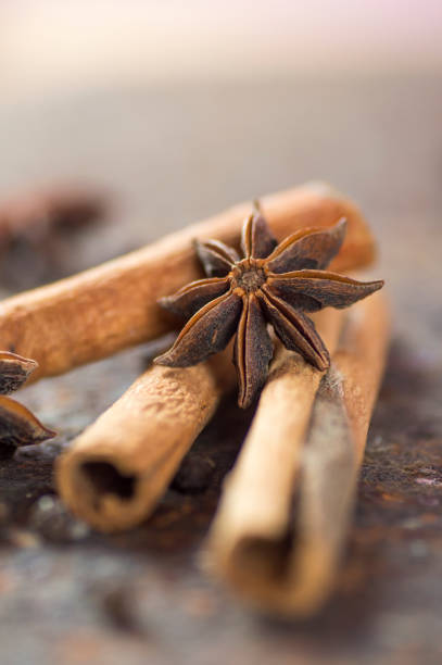 palos de canela, estrellas de anís y granos de pimienta negra sobre fondo texturizado - cardamom spice cinnamon bark anise star fotografías e imágenes de stock