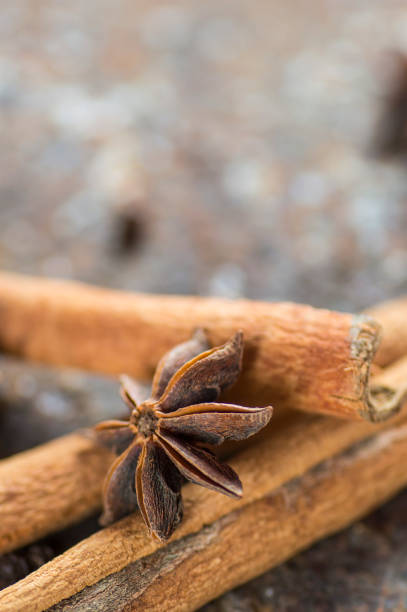 palos de canela, estrellas de anís y granos de pimienta negra sobre fondo texturizado - cardamom spice cinnamon bark anise star fotografías e imágenes de stock