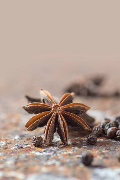 especias y hierbas. ingredientes de la comida y la cocina. estrellas de anís y granos de pimienta negra sobre fondo texturizado - cardamom spice cinnamon bark anise star fotografías e imágenes de stock