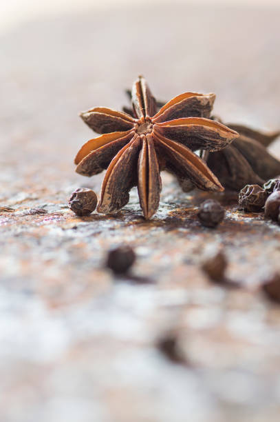 especias y hierbas. ingredientes de la comida y la cocina. estrellas de anís y granos de pimienta negra sobre fondo texturizado - cardamom spice cinnamon bark anise star fotografías e imágenes de stock