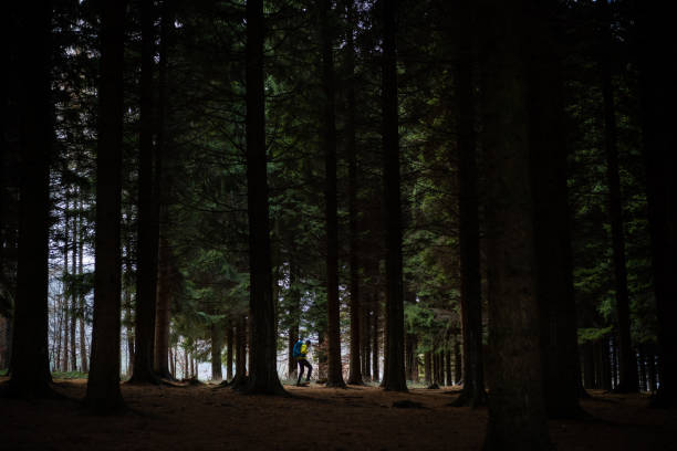 istock Male hiker exploring the forest 1196075797