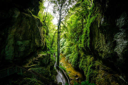 A water stream through a cave in the forest